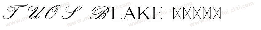 TUOS Blake字体转换